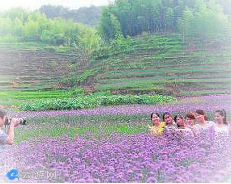永安市佳洁天斗山庄
