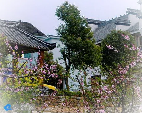 青阳齐春生态庄园
