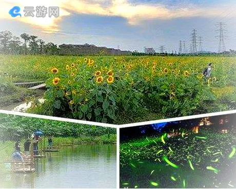 广州番禺海傍水乡景区