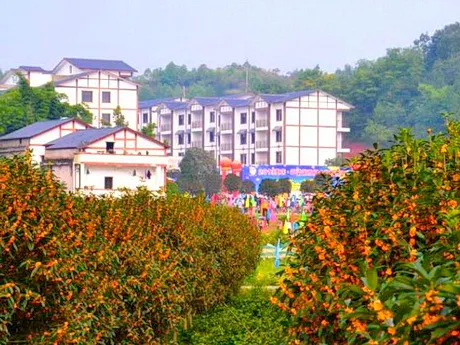 铜梁西部桂花博览园