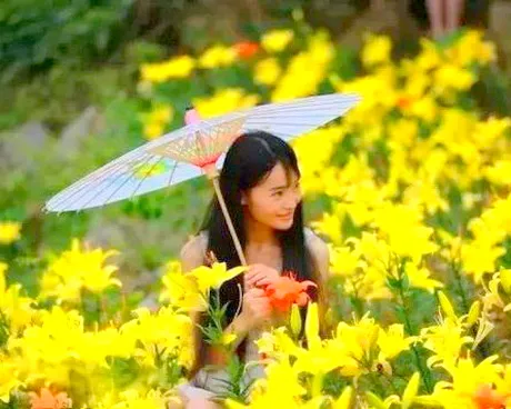 宜昌柏木坪茅家山百合花海