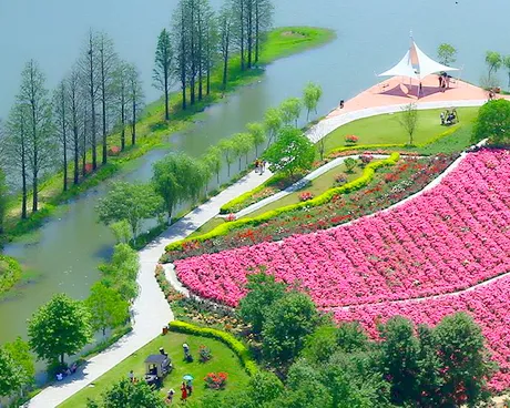 武汉黄陂木兰花园(玫瑰园)