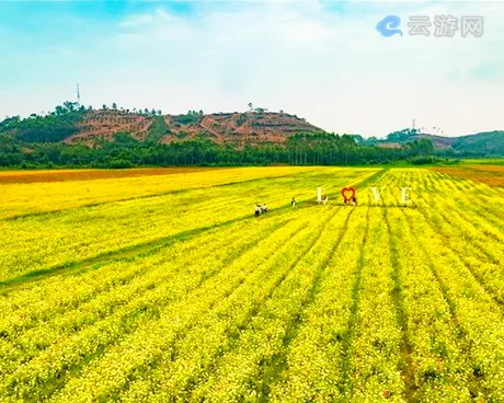 博罗花香泰美花卉主题公园