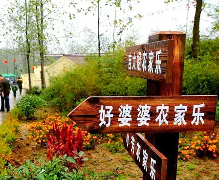 南京竹镇大泉人家农家乐专业村