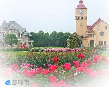 太仓现代农业园