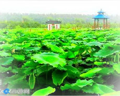 新乡龙泉苑景区