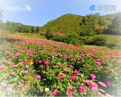 三门峡卢氏豫西百草园