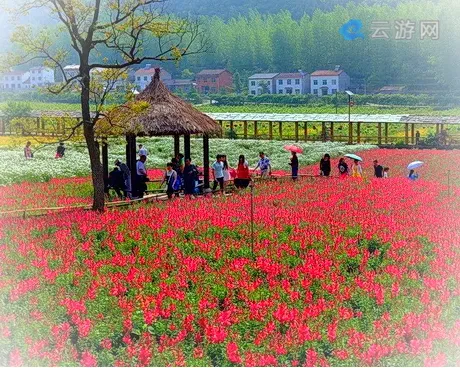 宜昌三峡奇潭风景区