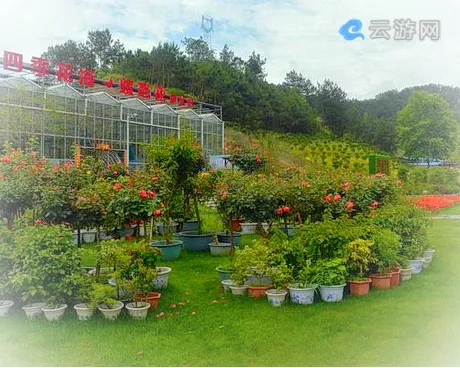 英山四季花海中华情园