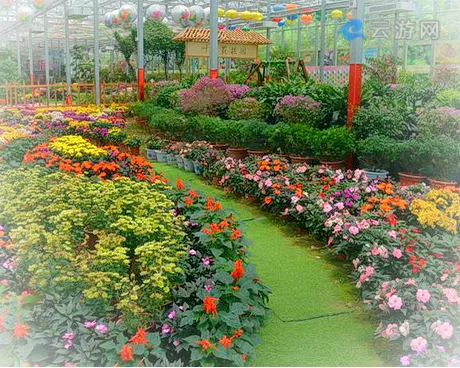 英山四季花海中华情园