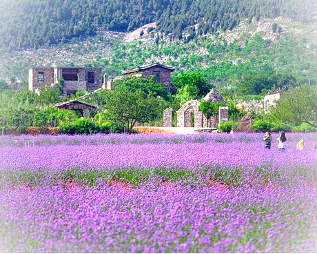 贾汪紫海蓝山文化创意园