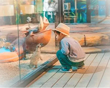 嘉善贝多树动物艺术街区