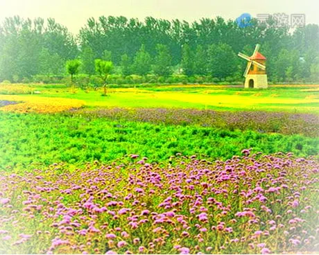 郑州普兰斯薰衣草庄园