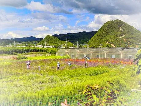 贵阳蓬莱仙界休闲农业旅游区