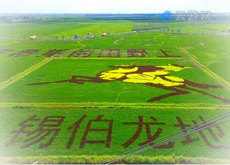 沈阳锡伯龙地创意农业园