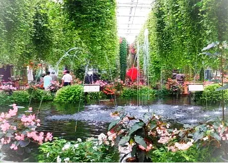 无锡嘉茂国际花鸟园