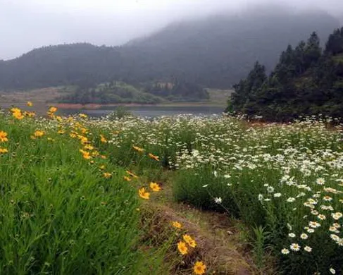 湖州驾云山生态休闲园
