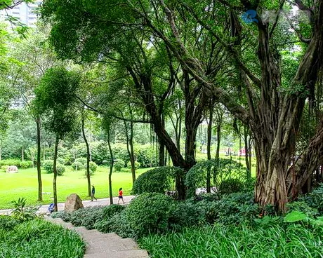 广州珠江公园