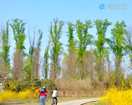 昌平半塔郊野公园