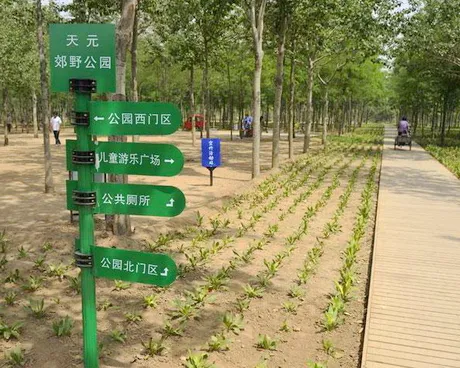 丰台天元公园
