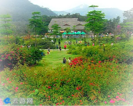 厦门东坪山公园