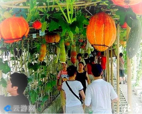 天津清泰庄园