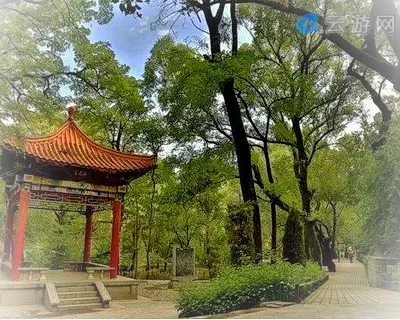 平凉柳湖公园