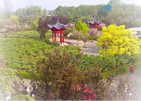 洛阳国家牡丹园