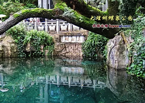 大理蝴蝶泉公园