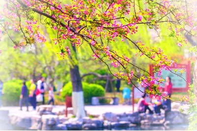 天下第一泉景区五龙潭公园