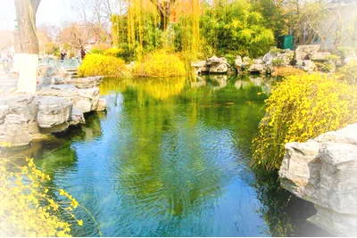 天下第一泉景区五龙潭公园