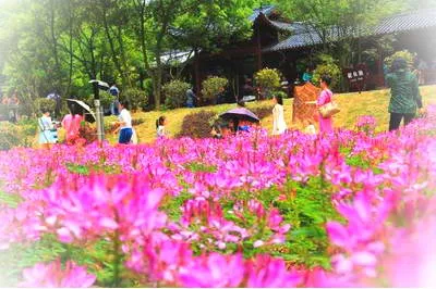 长沙光明蝶谷公园