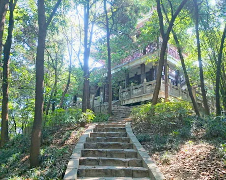 武汉矶头山公园