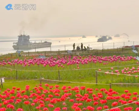 荆州临江仙公园
