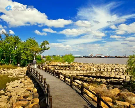 吴淞炮台湾湿地森林公园