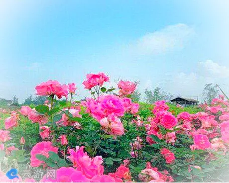 咸阳两寺渡公园
