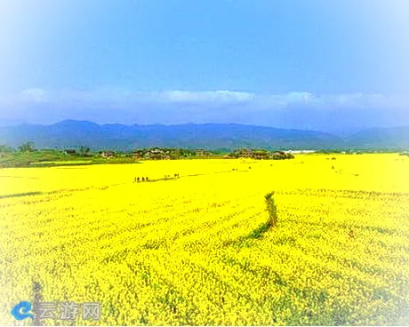 重庆垫江油菜花大观园