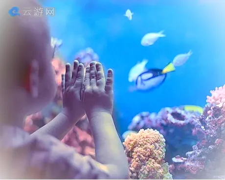 南京金鹰动物世界