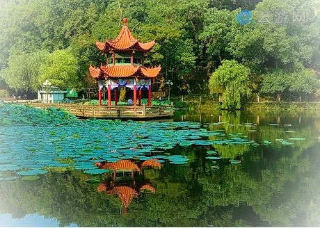 景德镇莲花塘