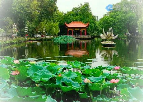 景德镇莲花塘