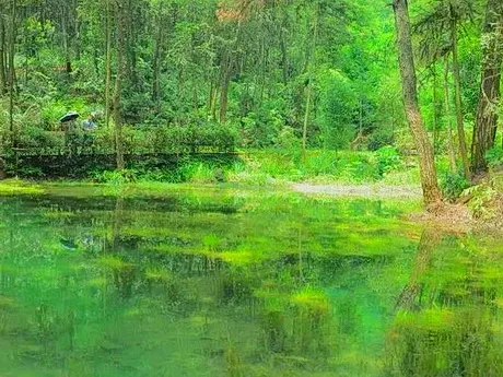 九龙坡九凤山景区