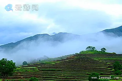 海南五指山牙胡梯田