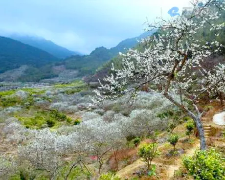 广州从化溪头村