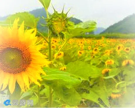 政和石圳自然村