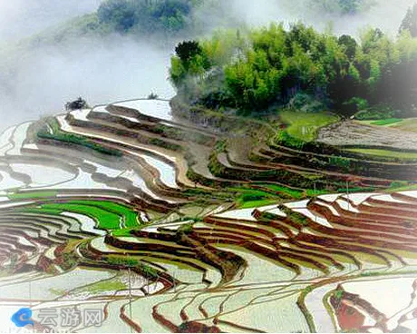 念山梯田（念山村）