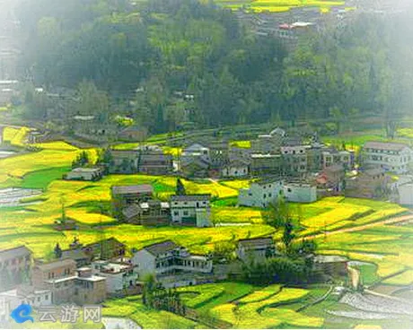 南郑县汉山油菜花海