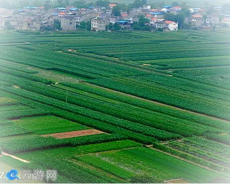 重庆潼南县桂林双坝蔬菜基地