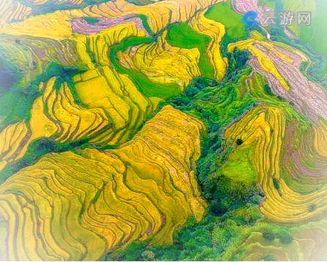 宁化大洋梯田