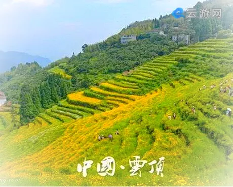 永泰云顶花海梯田