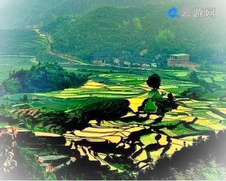 福建梯田